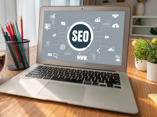 Gestion & suivi des campagnes SEO